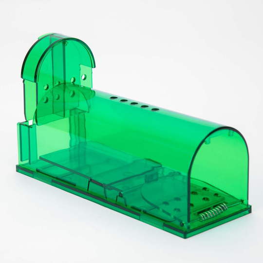 Humane mouse trap, catch and release