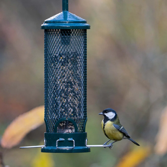 Squirrel Buster Mini - Squirrel-proof Bird Feeder - Lifetime Guarantee