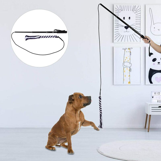 1 Piece Dog Toys, Convenient Wand Rod Cat, Good Lightweight Elastic String for Cats Dogs(Black, l)