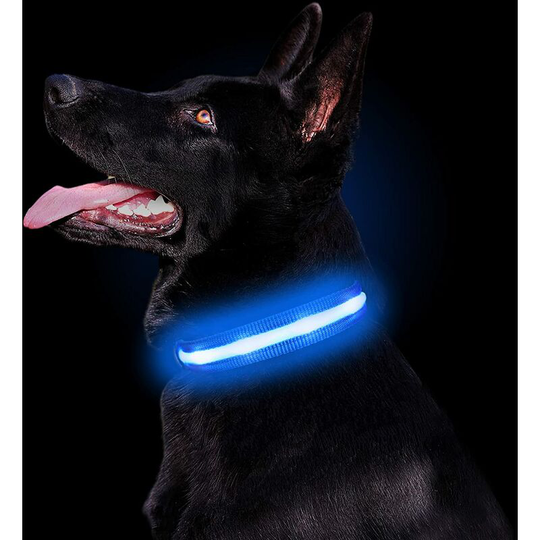 2PCS led Dog Collar, usb Rechargeable Waterproof Luminous Pet Collars, Blue(Medium) Thsinde