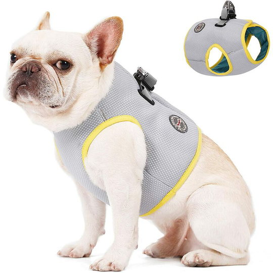 Heguyey - m) Dog Cooling Vest Harness Breathable Pet Cooling Vest for Outdoor Training Walking Hiking Summer Cooling Vest for Medium Large Dogs