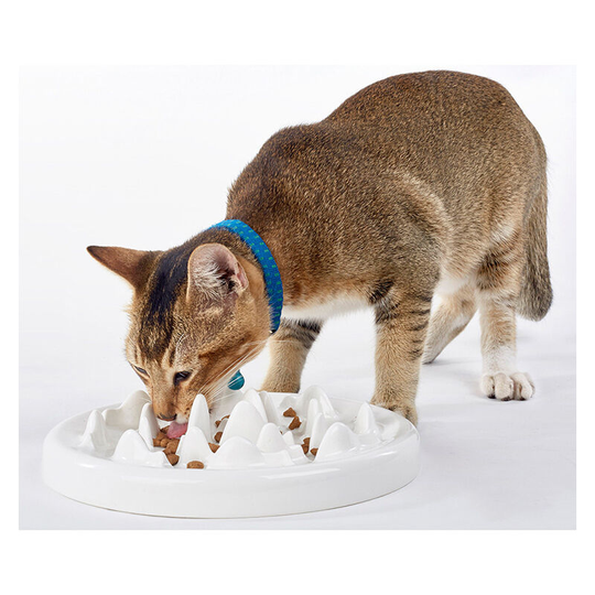 Thsinde - Anti-swallowing bowl for dogs and cats, slow feeding dog bowl, cat bowl, slow eating bowl, interactive slow feeder food bowl, made of