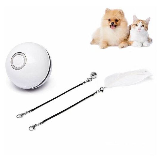 Pet Toy Funny Toy For Cat Ball Laser usb Smart Charge Ball Random Color Founting Bright Bearing