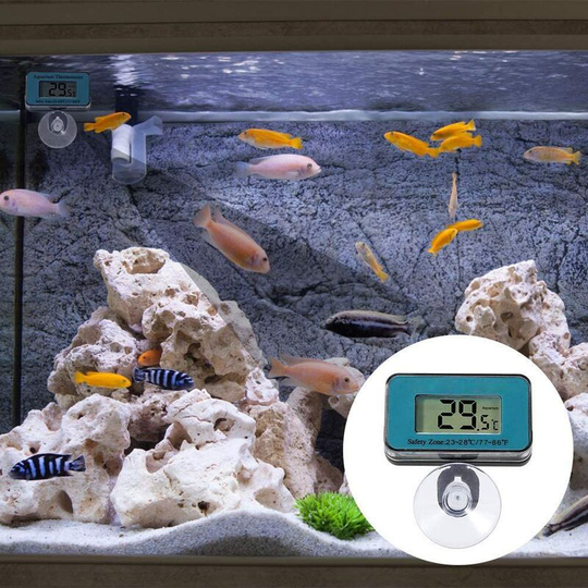 Thsinde - Aquarium Thermometer, Digital Aquarium Thermometer Aquarium / Terrarium / Water Temperature Gauge Instrument, -50 ° c to 70 ° c