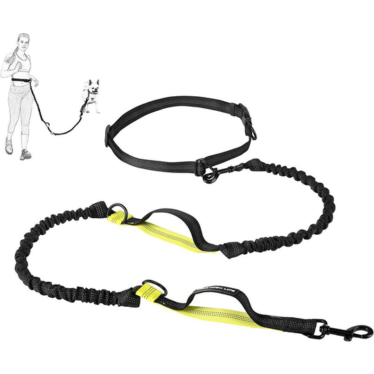 Retractable Dog Leash | Long freehand leash 2m | Leash for walking your dog | Reflective Leash | for small, medium and large dogs