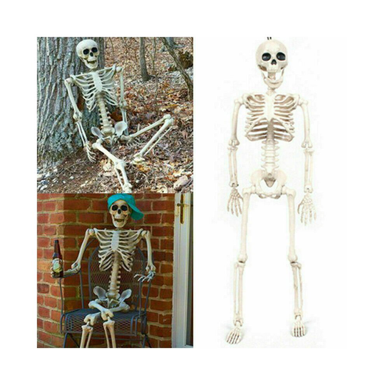 Large Poseable Skeleton Prop Halloween Party Decoration