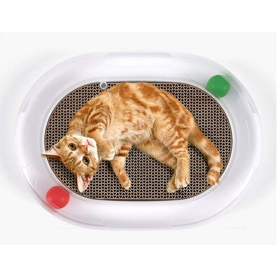 Cat Toys Scratcher Ball Roller Track Cat Ball Tower Puzzle Set Turn Plate Table Design Senses Super Roller Circuit Toy for Cats