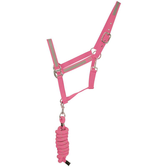 Reflector Head Collar and Lead Rope (Full) (Pink) - Pink - Hyviz