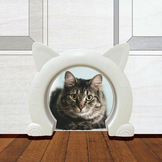 Cat hole, can control the direction of entry and exit, white, cat shape