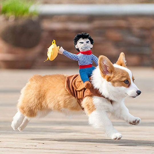 Pet Costume Denim Knight Style Dog Costume Pet Set Dog Strap Costume (l)