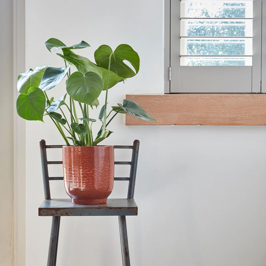 Reactive Glaze Burnt Orange Planter H22cm D19.5Cm