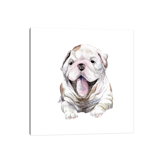 Happy Bulldog Puppy by Wandering Laur - Wrapped Canvas Painting