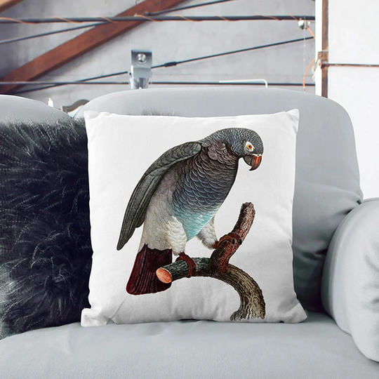 Parrot Perched by F. Levaillant Cushion with Filling