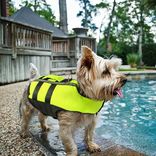 Dog Life Jacket Pet Life Jacket Small Dog Swimming Jacket, Green