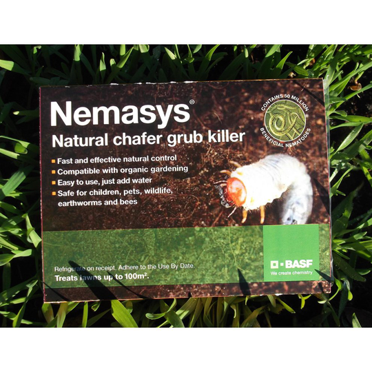 Nemasys Chafer Grub Killer 100sqm