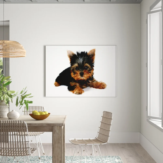 Yorkshire Terrier Baby Puppy Wildlife - Wrapped Canvas Photograph Print