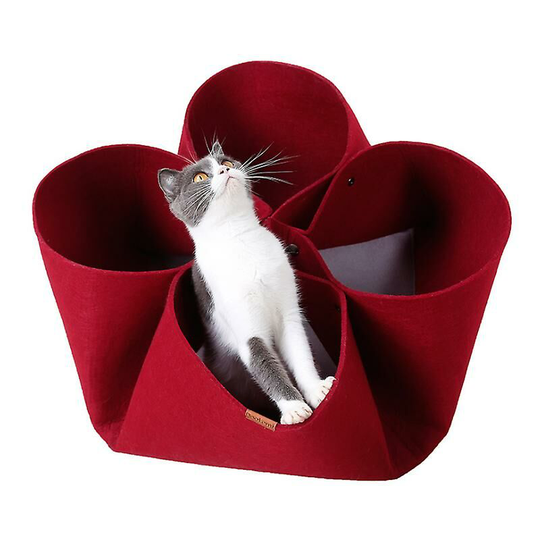 Thsinde - Cat Litter Creative Petal Flower Cat Litter Original Design Four Seasons Cat Bed Pet Cades Changing Function Cat Tunnel (red) -