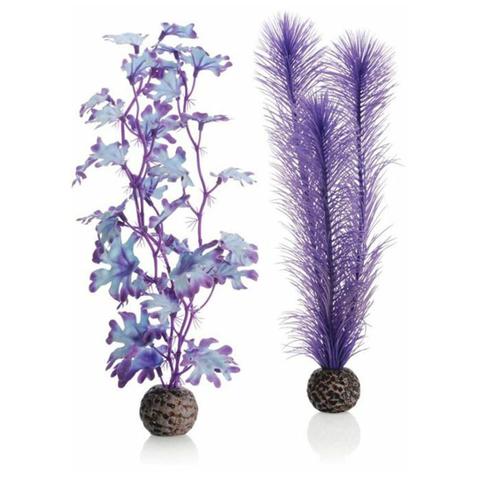 Kelp, Medium, Purple - Biorb