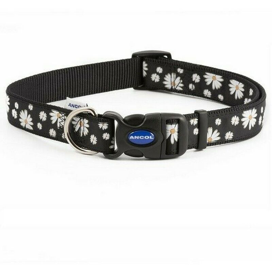 Fashion Daisy Dog Collar (30cm - 50cm) (Black/White) - Black/White - Ancol
