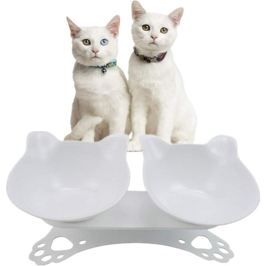 Echoo - Cat Bowl with Stand, Double Raised Bowl for Cat and Puppy Anti-Vomiting (White)