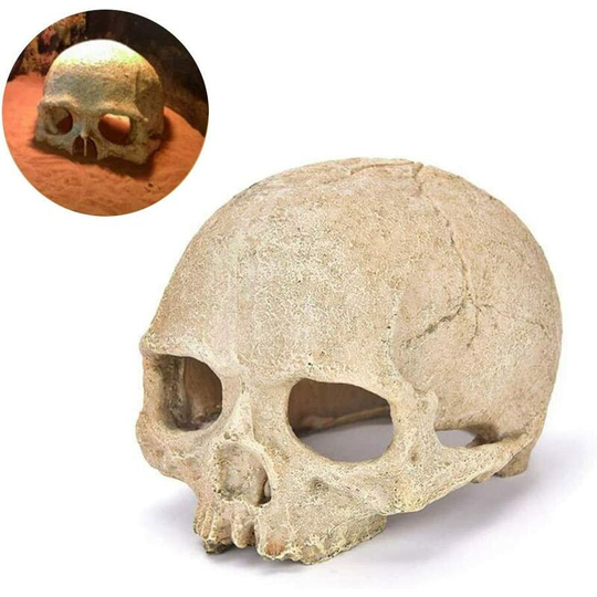 Litzee - Resin Skull Aquarium Ornament, Skull Figurine for Reptile House Cave Aquarium Decoration, Bald Head Human Skull Halloween Fish Tank