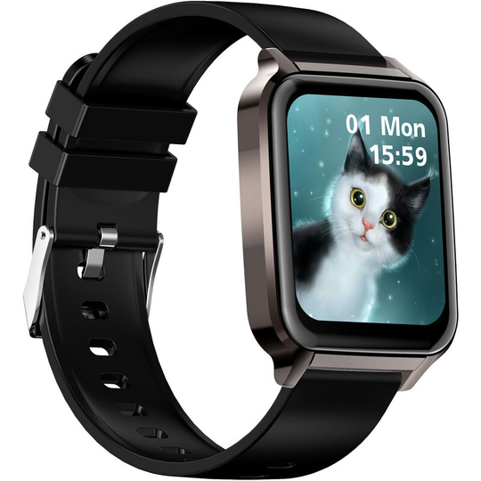 ZL23 Smart Bracelet 1.72 inch tft Touchscreen 30 Kinds of Sports Modes/Pedometer/Heart Rate/Blood Pressure/Notifications Reminder