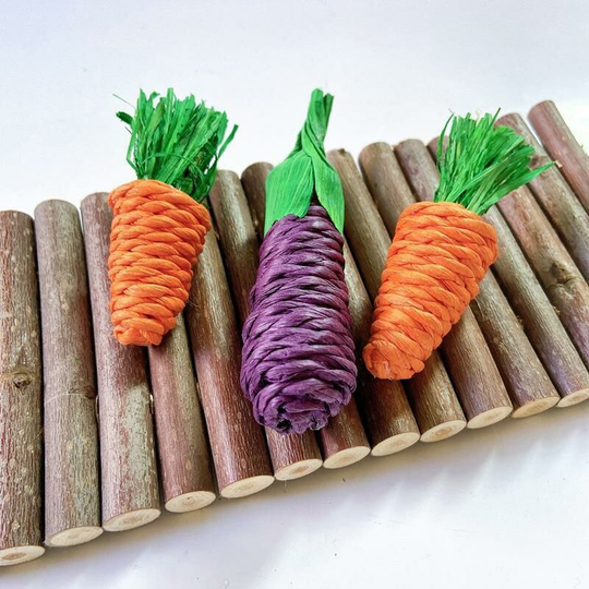 3 PCS/Set Bird Chew Toy Interactive Parrot Teeth Cleaning Toys Straw Plaything For Small Animal Rabbits Rats Hamster Accessories