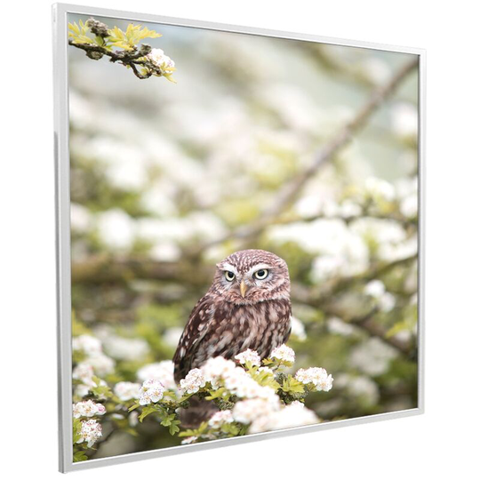 Mirrorstone - 995x1195 Owl In The Spring nxt Gen Infrared Heating Panel 1200W - Frame Colour: Black Aluminium - Black Aluminium (Frame)