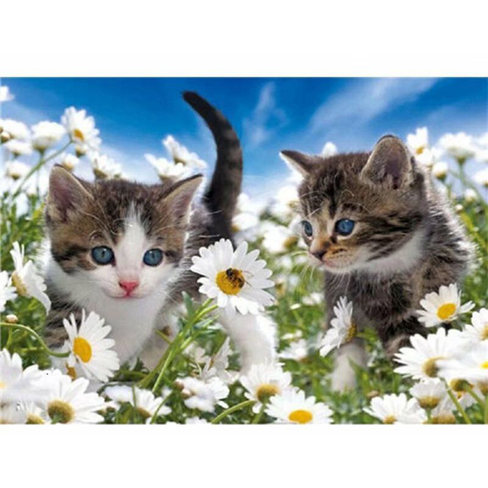 5D Diamond Paint Marguerite Kitten Living Room Decoration Painting Full Diamonds Children Diamond Painting Cross Stitch Decoration Painting (30 * 40)