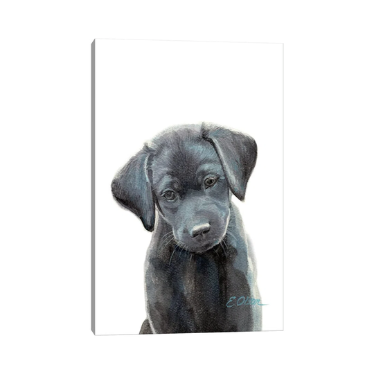 Black Lab Puppy I
