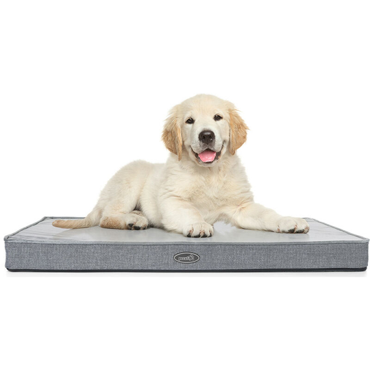Pecute - Dog Bed - Medium 74x48cm, 7cm Thick Memory Foam for Good Support - Waterproof Orthopedic Dog Bed with Soft Washable Cover Easy to Clean for