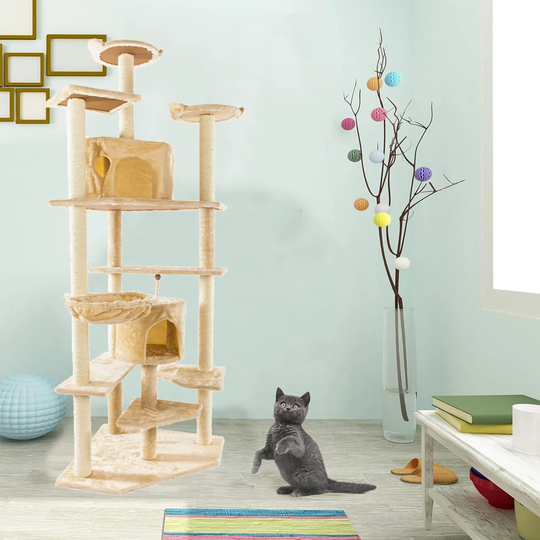 203cm Bullard Cat Tree
