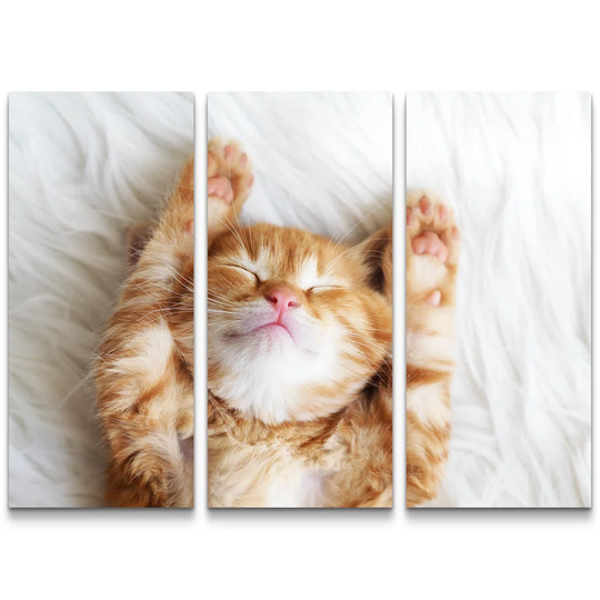 Sleeping Red Kitten Multi-Piece Image on Canvas