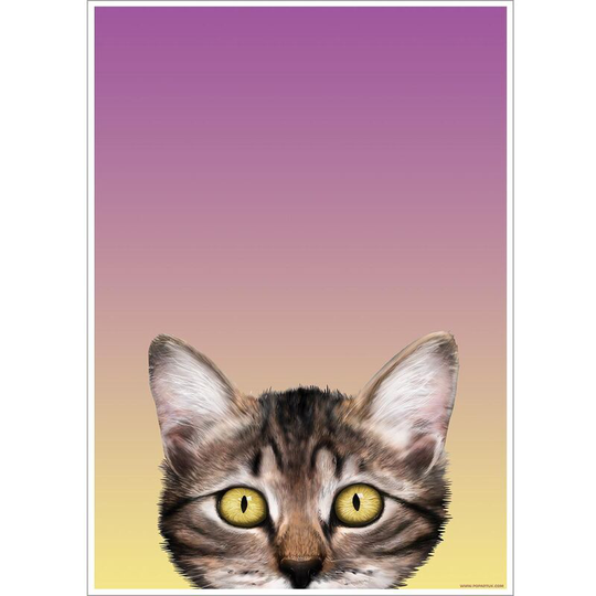 Inquisitive Creatures - Kitten Poster (One Size) (Purple/Yellow) - Purple/Yellow