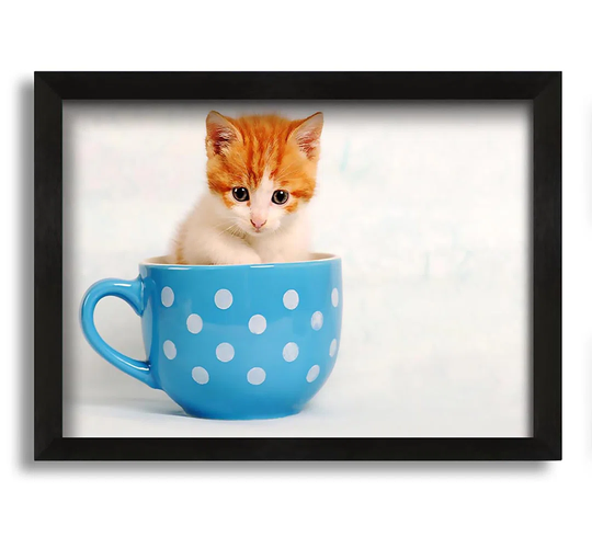 Tea Cup Kitten Cat - Picture Frame Photograph on Canvas