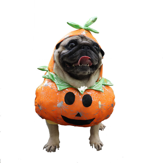 Pet Costume Dog Cat Pets Suit Christmas Halloween Costumes Pets Clothing for Small Dogs and Cats(orange,L)