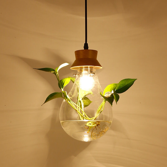 Perle Raregb - Glass Aquarium Plant Aquarium Chandelier Garden Chandelier Small Fresh Bed Personality Chandelier Retro Chandelier Pendant Light