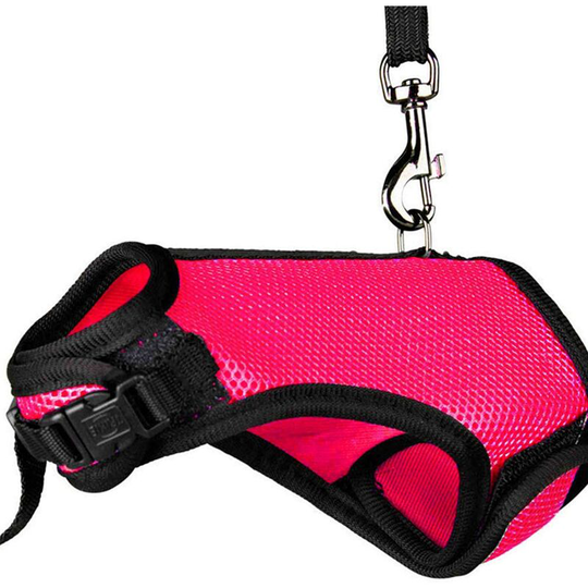 Modou - Harness and leash set for rabbits and small kittens