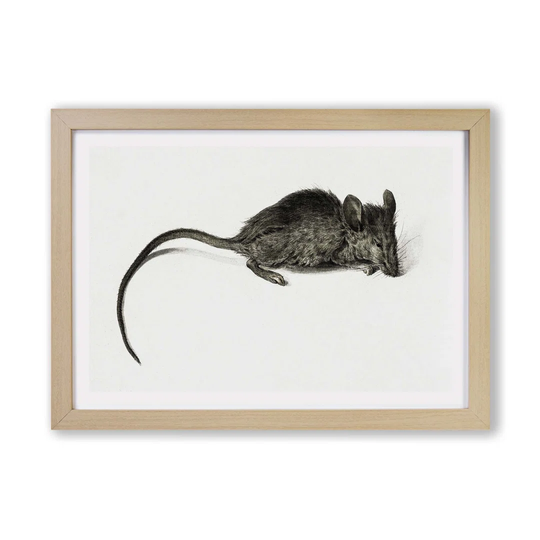 'Mouse' by Jean Bernard - Picture Frame Painting Print on Paper