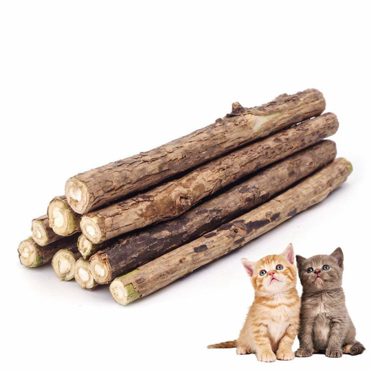 ZoiiBuy Cat Catnip Stick,Matatabi Silvervine Dental Treats Natural Wood Chew Toy Cat Teeth Cleaning Grinding Molar Sticks for Cat Kitten Kitty Play...