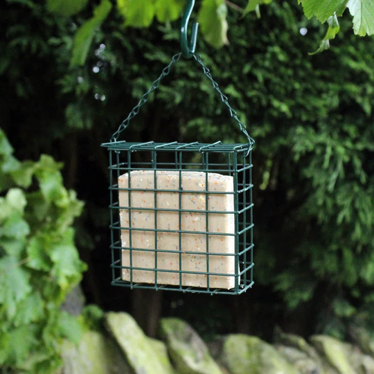 Nature's Market Wild Bird Suet Cake Feeder