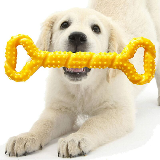 Perle Raregb - Indestructible Dog Toy, Resistant Dog Toy, Puppy Teething Toy, Durable and Safe Dog Bone Chews for Large Dogs, Interactive Dog Toys