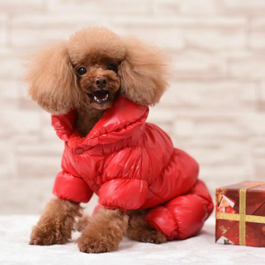 Thicken Pet Clothing Autumn and Winter Dog Clothing