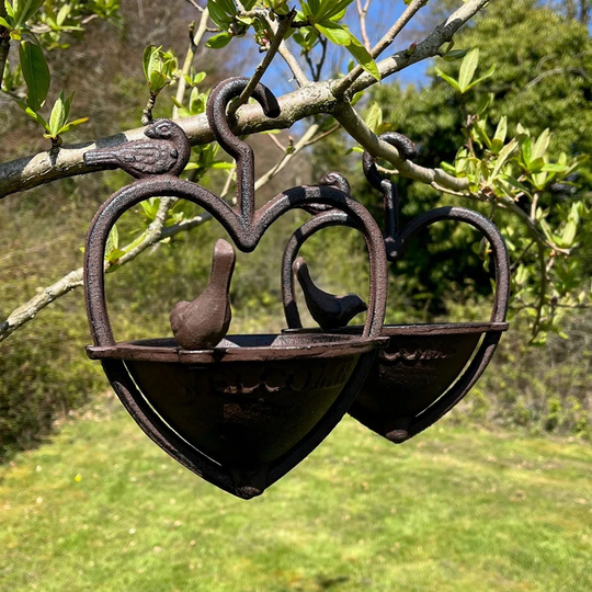 Freeda Decorative Bird Feeder