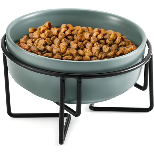 Ceramic Cat Bowl 15° Tilted Raised, Elevated Cat Bowl with Non-Slip Metal Stand, Anti-Vomiting Kitten Bowl for Indoor Cats and Dogs