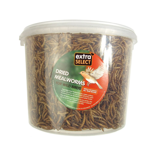 Extra Select Mealworms Tub 500ml