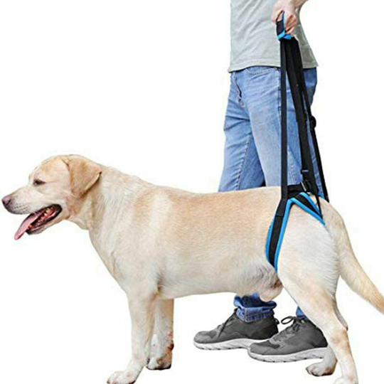 Bearsu - Dog Lifting Harness - Dog Harness Helps Weak Legs - Balanced Support - Back Lifting Harness - For Surgery, Walking, Pain Relief - m