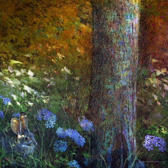 Forest Bunny by Chris Vest - Wrapped Canvas Painting Print