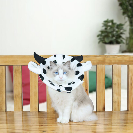 Pet Collar Anti-licking Protection Collar 20-26cm