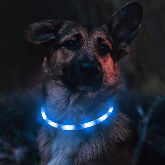 Light Up Collar for Dogs, usb Rechargeable led Dog Collar, Flashing Adjustable Safety Collar for Small, Medium and Large Dogs, Blue